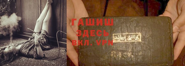 шишки Медногорск