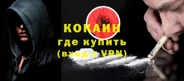 шишки Медногорск