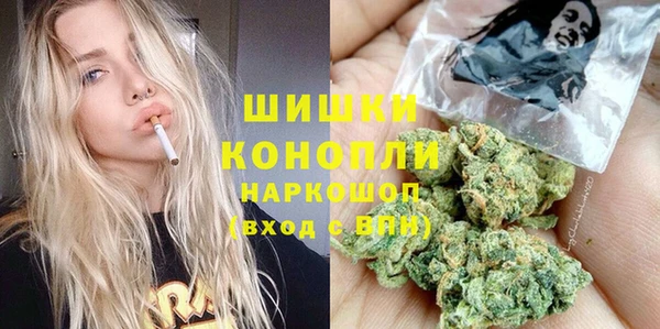 spice Мегион