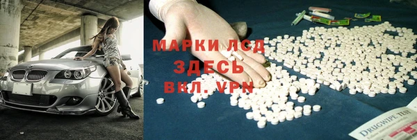 шишки Медногорск