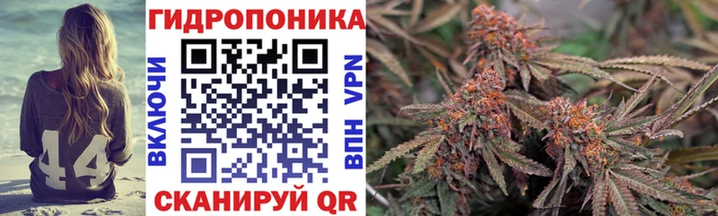 Купить где  Кстово  Бошки Шишки MAZAR 